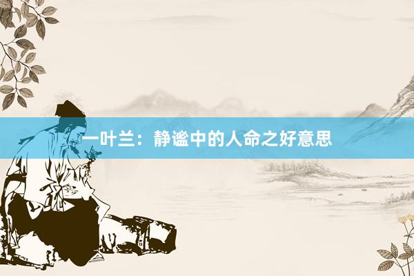 一叶兰：静谧中的人命之好意思