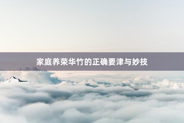 家庭养荣华竹的正确要津与妙技