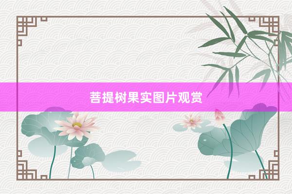 菩提树果实图片观赏
